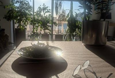 Apartament cu 6 camere decomandat în Herăstrău - 5