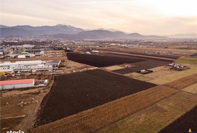 Teren de 5000 mp, în Stupini - 2