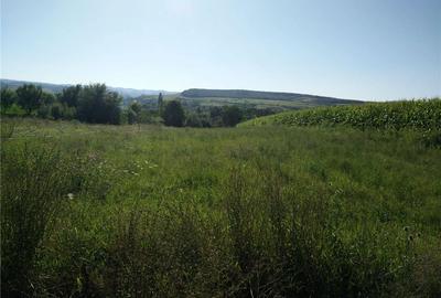 Teren de 3050 mp, în Peștișu Mare - 2