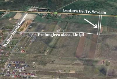 Teren de 6000 mp, în Mărăcineanu - 1