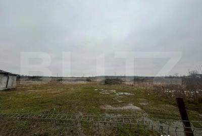 Teren de 1716 mp, în Priseaca - 2