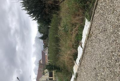 Teren în Stupini