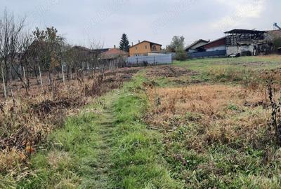 Casă cu 4 camere cu Teren 1370 Mp în Plopi