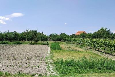 Casă individuală cu 4 camere cu Garaj în Bucovăț (Remetea Mare) - 5