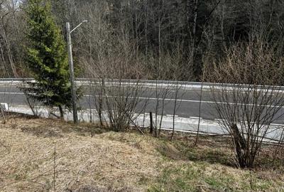 Teren de 10000 mp, în Izvoru - 2