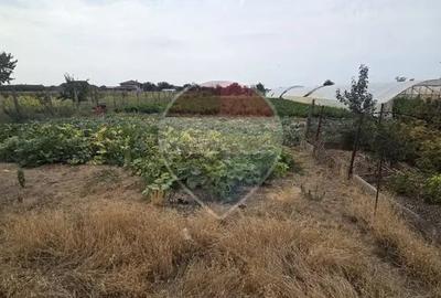 Casă cu 4 camere cu Teren 3196 Mp în Mădăras