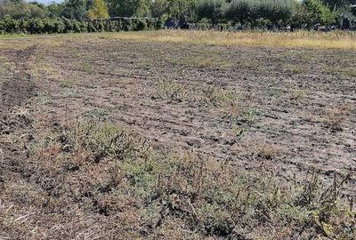 Teren de 3700 mp, în Tântava