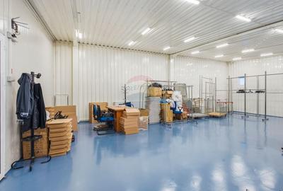 Spațiu industrial, de 600 mp, în Vișan - 15