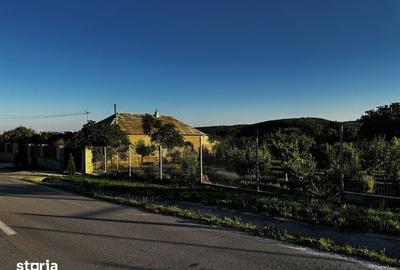 Casă cu 2 camere cu Teren 1800 Mp în Slava Cercheză - 6