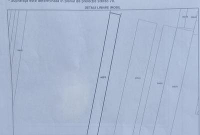 Teren de 6000 mp, în Sud