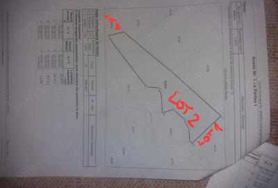 Teren în Recea - 3