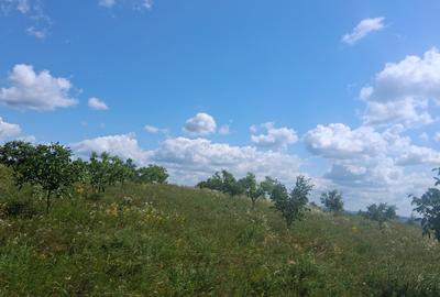 Teren agricol extravilan de 7000 mp, în Zvoriștea - 9