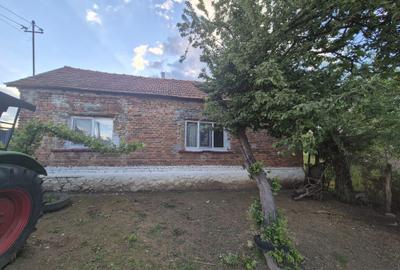 Casă cu 3 camere în Birchiș - 1