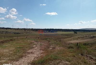 Spațiu comercial, în Grădina