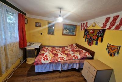 Casă individuală cu 3 camere cu Canalizare în Lunca Corbului - 16