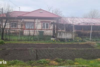 Casă cu 6 camere cu Teren 1760 Mp în Măldăeni - 10