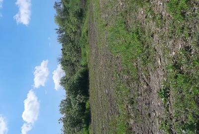 Teren de 7000 mp, în Poșta (Topliceni) - 11