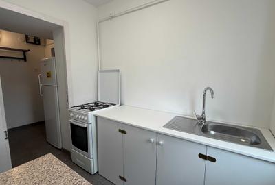 Apartament cu 2 camere semidecomandat în Craiovița Nouă - 2