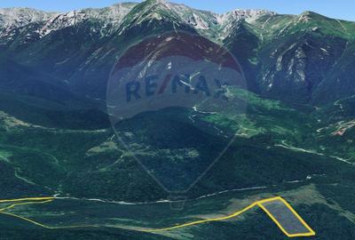 Teren agricol extravilan de 23000 mp, în Glăjărie - 5