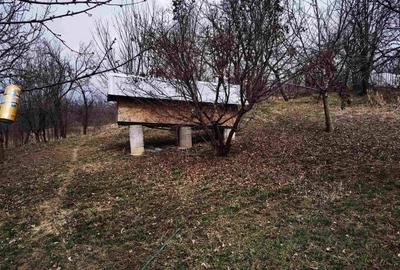 Casă individuală cu 7 camere cu Canalizare în Breaza - 7