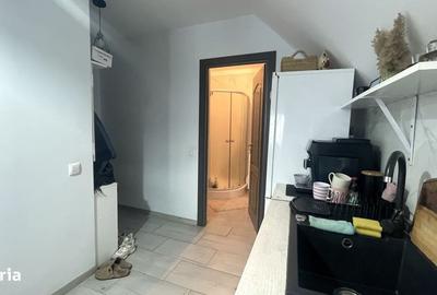 Apartament cu 2 camere semidecomandat în Făget - 4