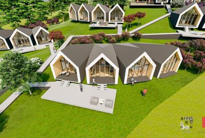 Teren Construcții intravilan de 5000 mp, în Boboci - 8