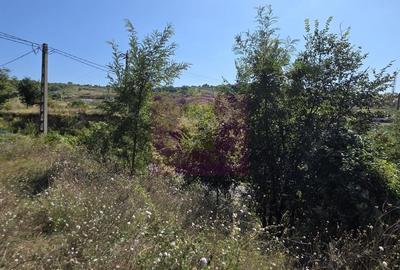 Teren în Central