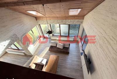 Casă cu 8 camere cu Teren 3905 Mp în Ilva Mică - 19