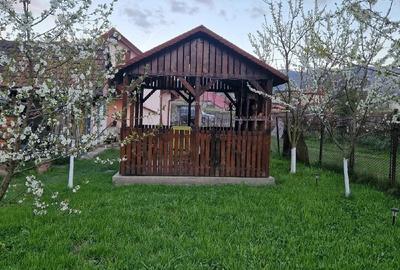 Casă cu Teren 450 Mp în Central - 1