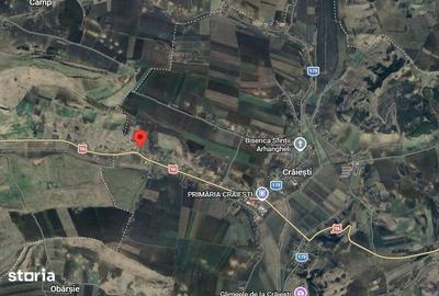 Teren de 8700 mp, în Adămuș - 5