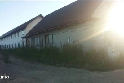 Casă cu Teren 1534 Mp în Nord - 4