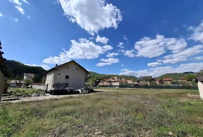 Casă cu Teren 3329 Mp în Olănești
