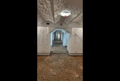 Spațiu comercial, de 435 mp, în Floreasca