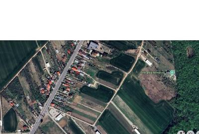 Teren de 7000 mp, în Ciolpani - 1