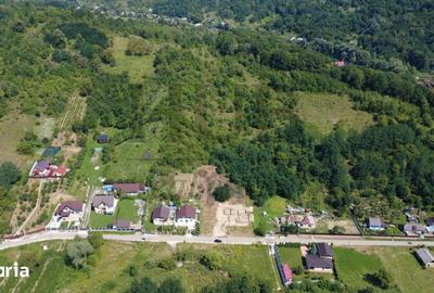 Teren de 9371 mp, în Mărgineni - 1