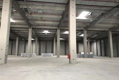 Spațiu industrial, de 5,750 mp, în Ciorogârla