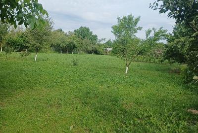 Teren Construcții intravilan de 3413 mp, în Gheorghe Doja - 5