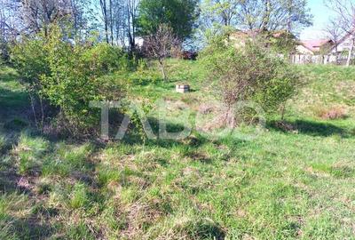 Teren Construcții intravilan de 4280 mp, în Cisnădie - 2