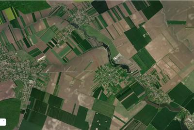 Teren în Dascălu - 2