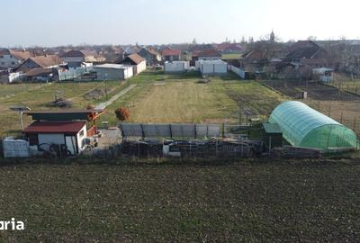Casă cu 4 camere cu Teren 2653 Mp în Pecica