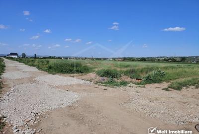 Teren agricol extravilan de 10000 mp, în Jucu de Mijloc - 8