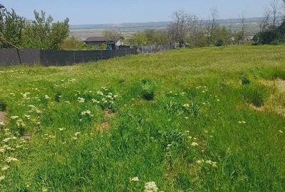 Teren de 1500 mp, în Foltești - 2