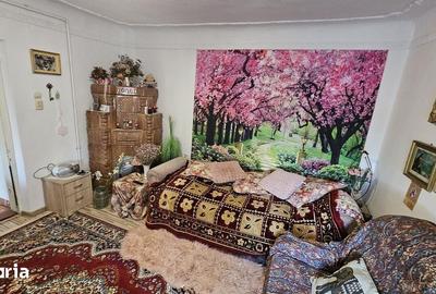 Casă cu 3 camere cu Teren 300 Mp în Gheorghe Doja