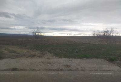 Teren de 5000 mp, în Central - 3