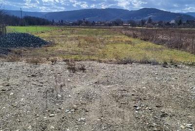 Teren de 1200 mp, în Ilia