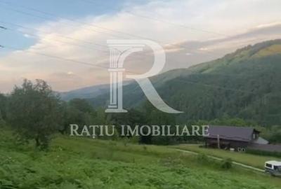 Teren de 10900 mp, în Căbești - 5