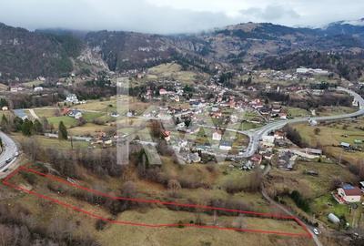 Teren Construcții intravilan de 3726 mp, în Dâmbovicioara - 2