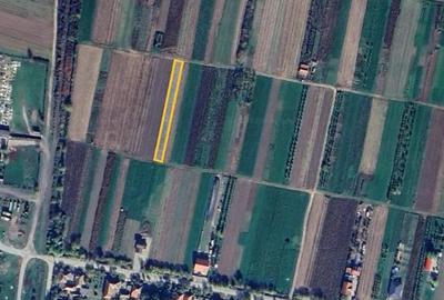 Teren de 900 mp, în Central