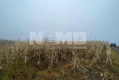 Teren agricol extravilan de 28400 mp, în Dărmănești - 12