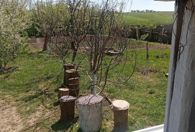 Teren de 700 mp, în Băcălești - 4